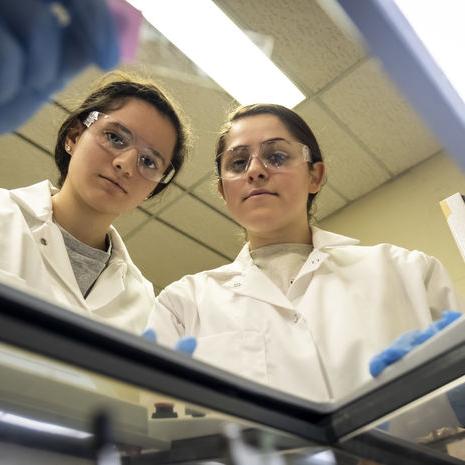两名科学技术学院的研究人员在一个实验室里.